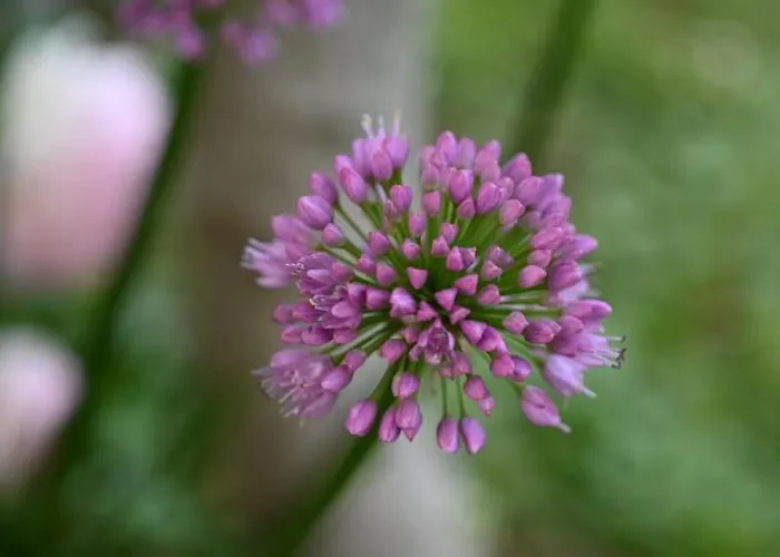 Hideaway Engvej ベッド・アンド・ブレックファスト